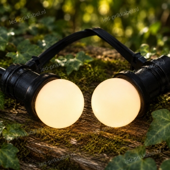 Led lamp warm wit 1 Watt 3000K