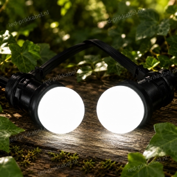 Led lamp warm wit 1 Watt 6400K