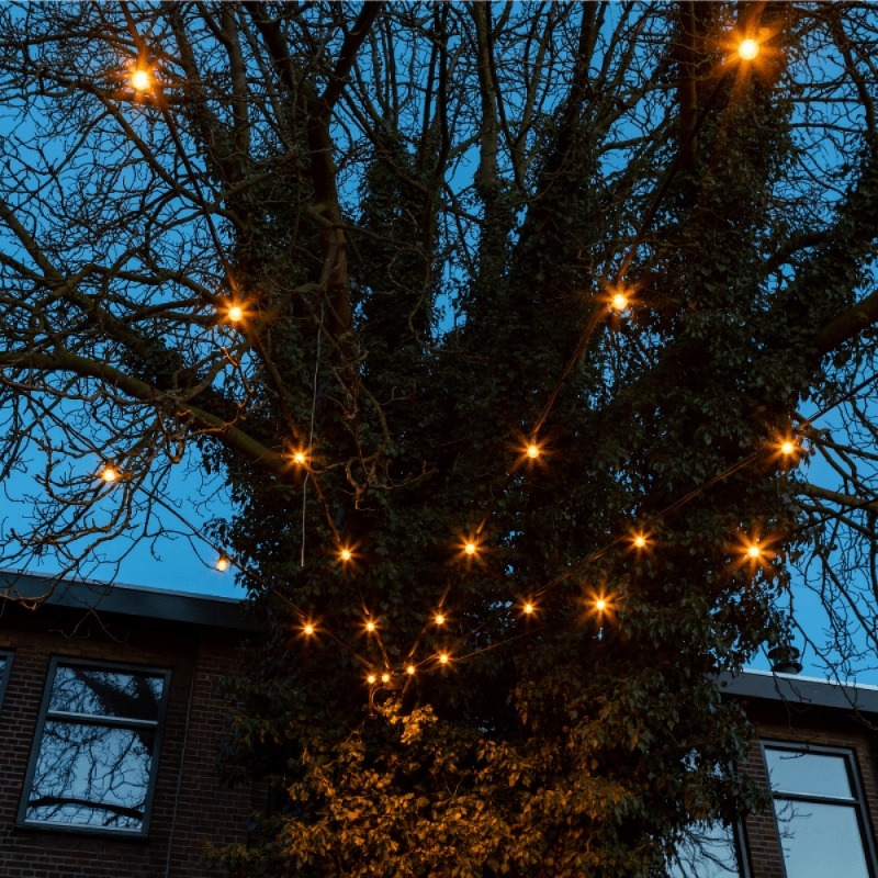 Festoon Light 10 meter met 20 fittingen E27 IP65