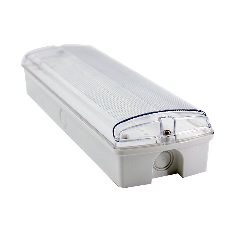 NOODVERLICHTING PAN 3.5W IP65