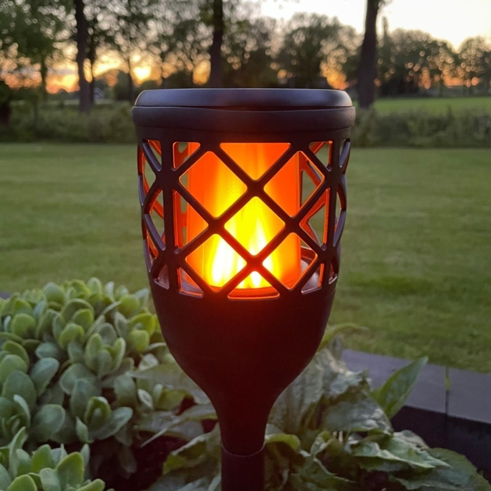 Solar tuinfakkel Torch 2W met vlameffect