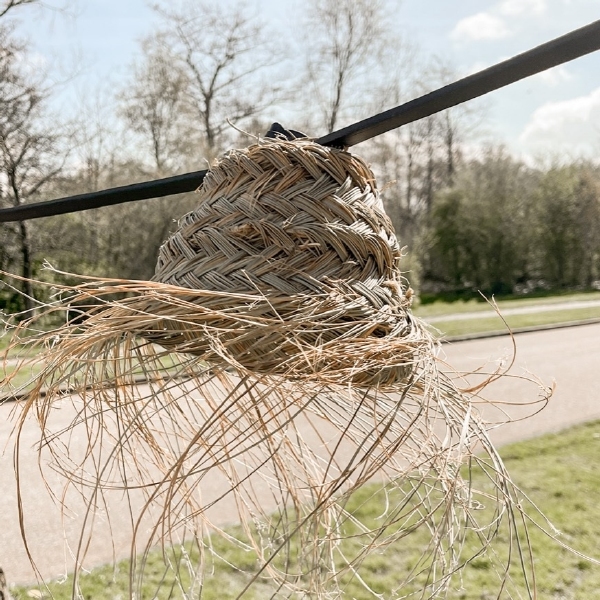prikkabel met zeegras lampions